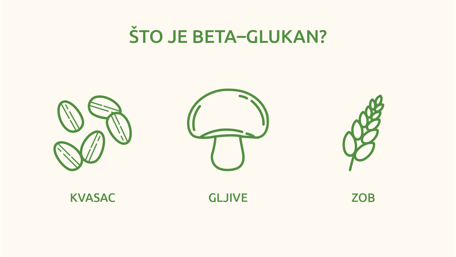 Što je beta-glukan Ilustracija prikazuje glavne izvore beta-glukana – kvasac, gljive i zob. Vizual je jednostavan i edukativan, uz minimalističke ikone u zelenoj boji.