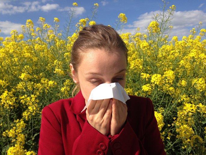 Med - saveznik u borbi protiv alergija